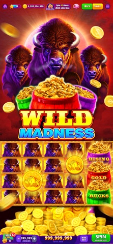 Rich Lady Slot